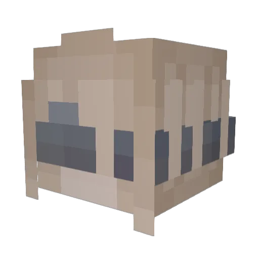 Nameless_Queen4 Minecraft avatar head, 3D render