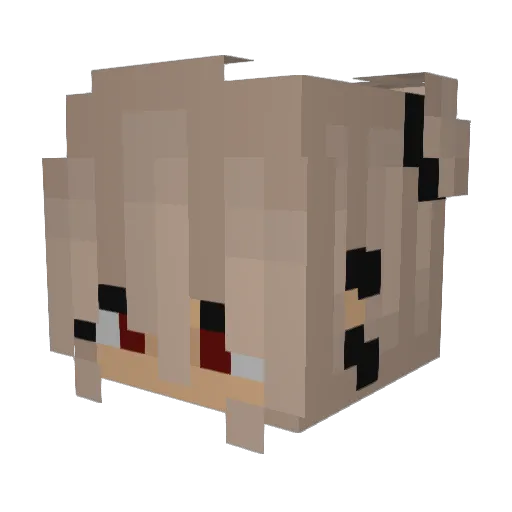 Namelesslc29 Minecraft avatar head, 3D render