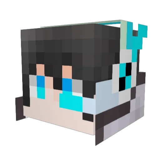 Namelesspi Minecraft avatar head, 3D render