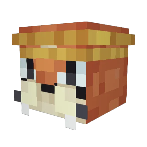 Namelesszs Minecraft avatar head, 3D render