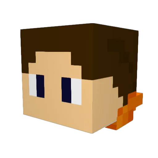 Namenslos_ Minecraft avatar head, 3D render
