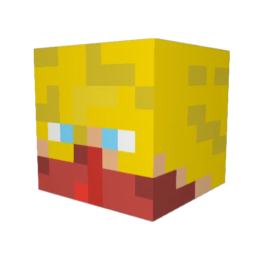 Namer_BR Minecraft avatar head, 3D render