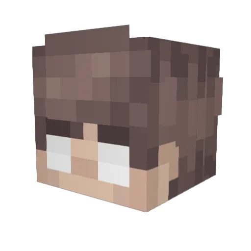 Nametab512 Minecraft avatar head, 3D render