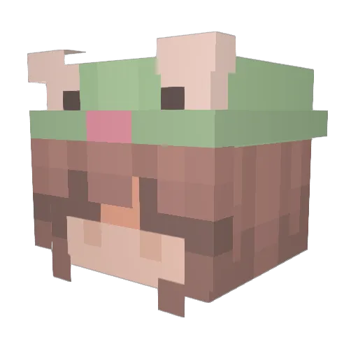 Nami_29 Minecraft avatar head, 3D render