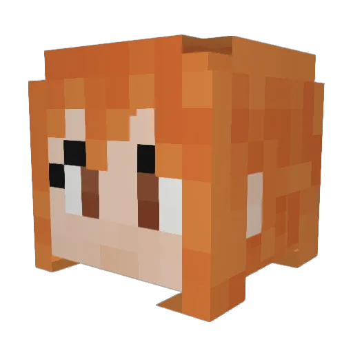 Namiam Minecraft avatar head, 3D render