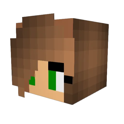 NamidaKaiken Minecraft avatar head, 3D render