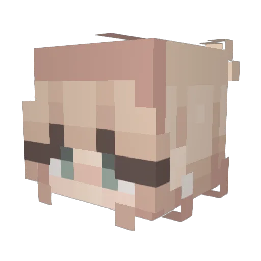 NamieHope Minecraft avatar head, 3D render