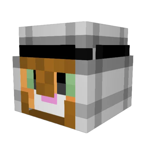 Namirrr Minecraft avatar head, 3D render