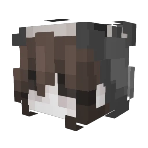NamoLikeDog Minecraft avatar head, 3D render