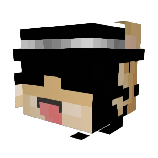 Namoree Minecraft avatar head, 3D render