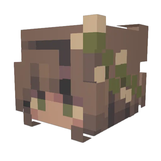 Namorra Minecraft avatar head, 3D render