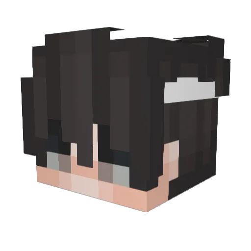 NamrahcDBLtap Minecraft avatar head, 3D render