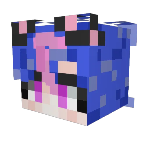 NanHeam Minecraft avatar head, 3D render