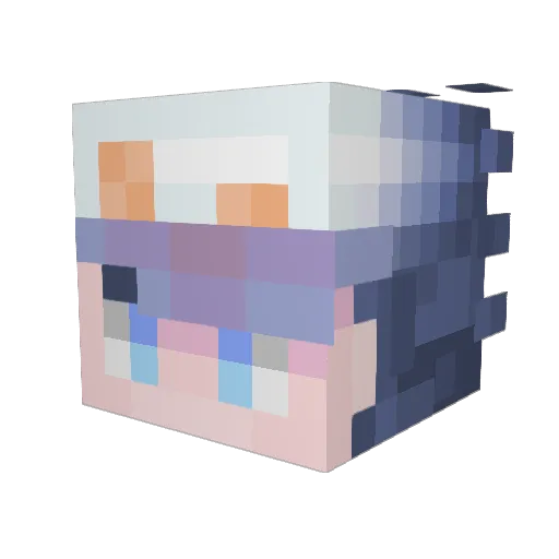 NanQiaoZ Minecraft avatar head, 3D render