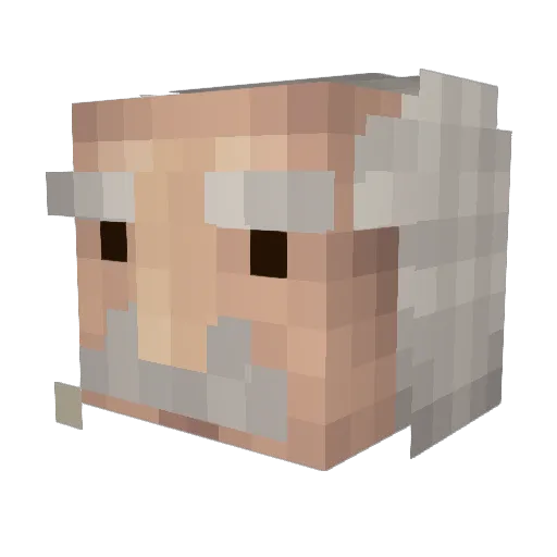 NanThatGuy Minecraft avatar head, 3D render