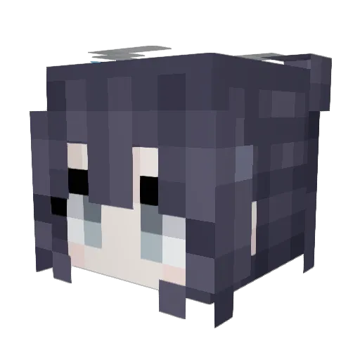 NanXLou Minecraft avatar head, 3D render