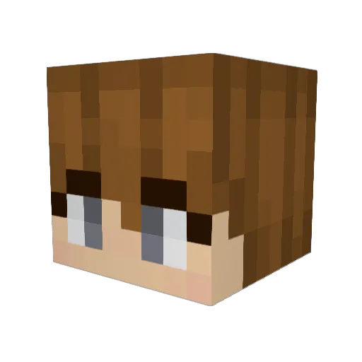Nanaimo1989 Minecraft avatar head, 3D render