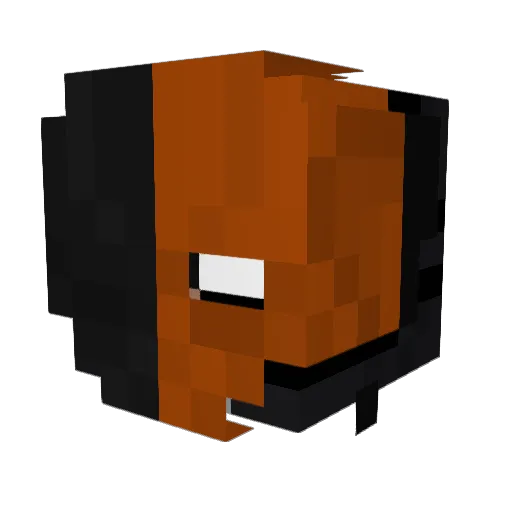 Nanaki772 Minecraft avatar head, 3D render