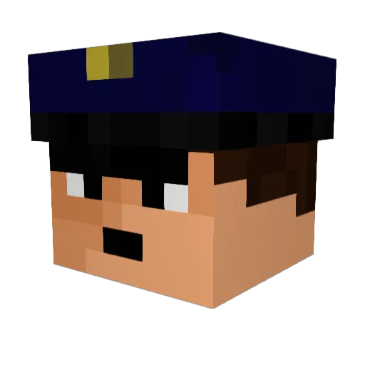 Nanani1 Minecraft avatar head, 3D render