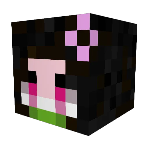 Nanasplaysmc Minecraft avatar head, 3D render