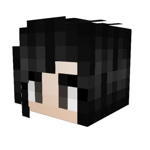 Nanass360 Minecraft avatar head, 3D render
