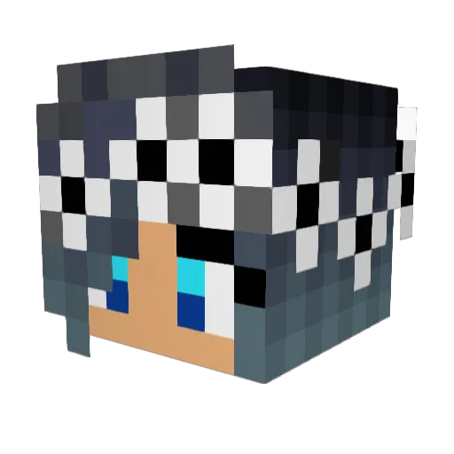 Nanax3x3 Minecraft avatar head, 3D render
