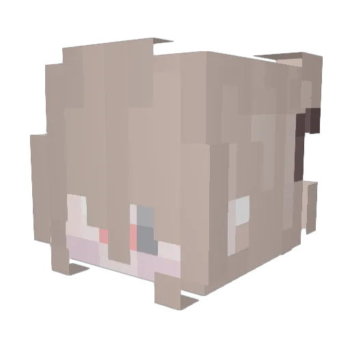 Nanc1y09 Minecraft avatar head, 3D render