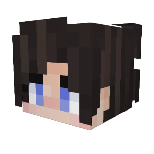 Nancert Minecraft avatar head, 3D render
