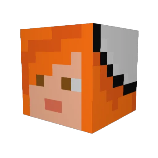 Nancy216 Minecraft avatar head, 3D render