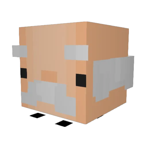 NancyYouKnow Minecraft avatar head, 3D render