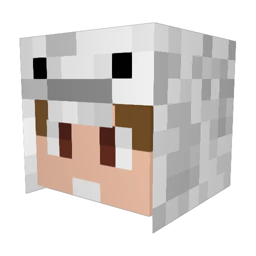 Nandato0 Minecraft avatar head, 3D render