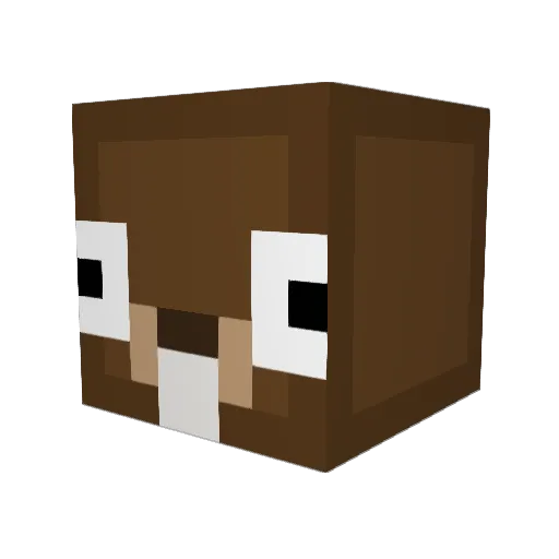 NandoBruv Minecraft avatar head, 3D render