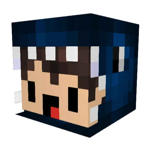 NandoRex17 Minecraft avatar head, 3D render