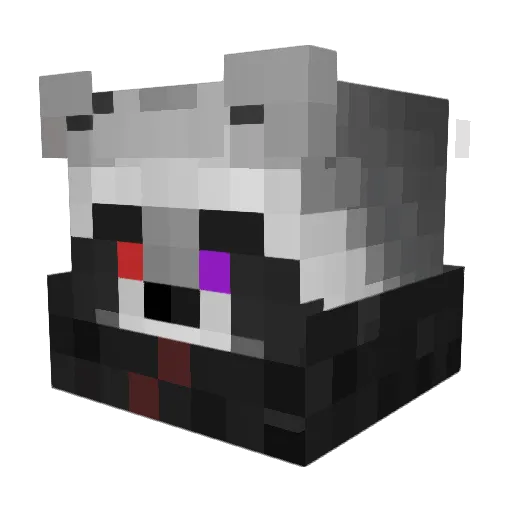 Nani17 Minecraft avatar head, 3D render