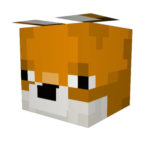 NaniNaa Minecraft avatar head, 3D render