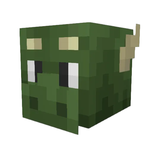 Nanibold Minecraft avatar head, 3D render