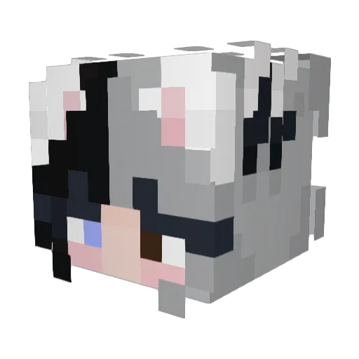 Naniimee Minecraft avatar head, 3D render