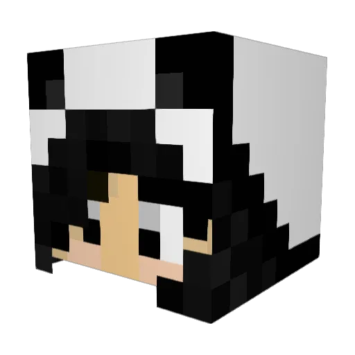 Nanin98 Minecraft avatar head, 3D render