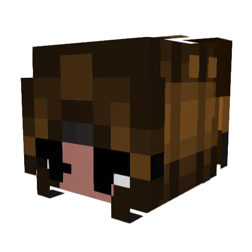 Nanis212 Minecraft avatar head, 3D render