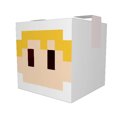 Nanlord Minecraft avatar head, 3D render