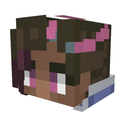 Nann0ok Minecraft avatar head, 3D render