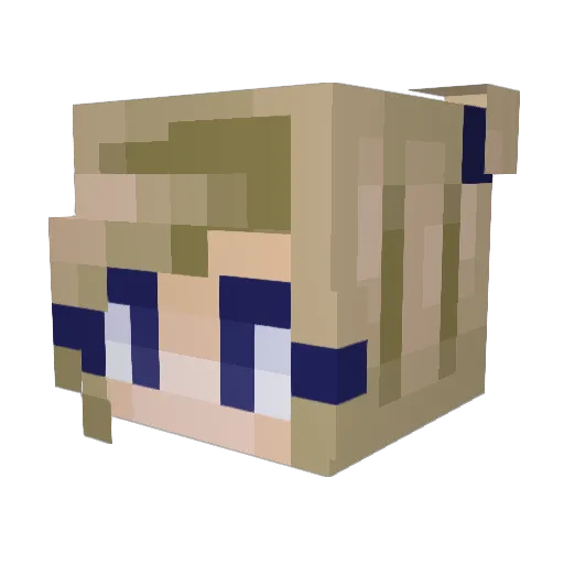 NannerBee5 Minecraft avatar head, 3D render