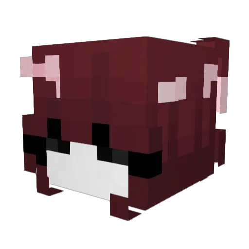 Nannoxy Minecraft avatar head, 3D render