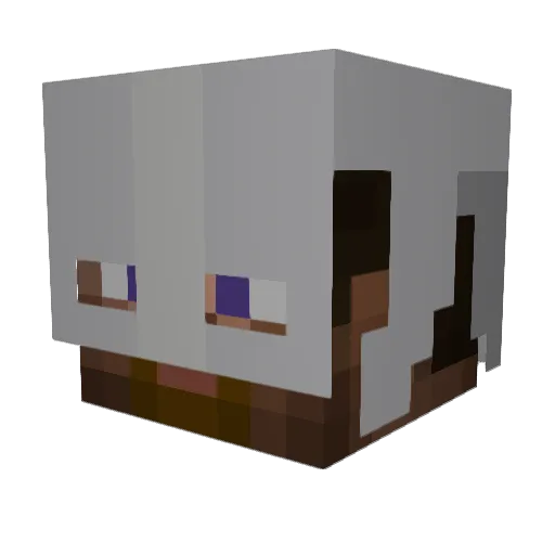 Nannulv Minecraft avatar head, 3D render