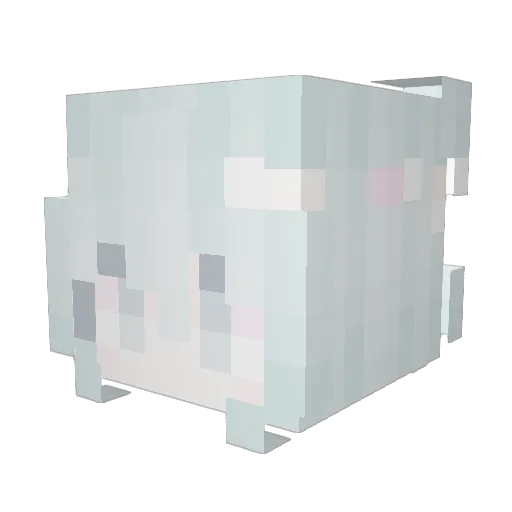 Nannyques2 Minecraft avatar head, 3D render