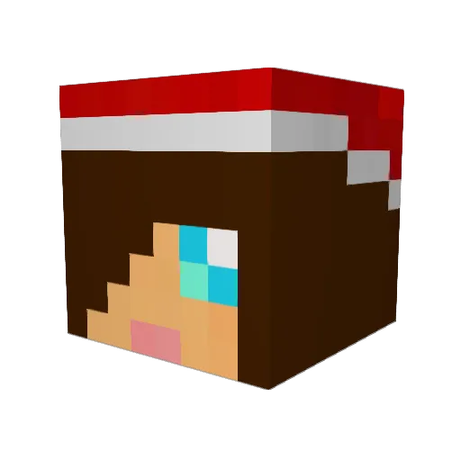 NanoCell Minecraft avatar head, 3D render