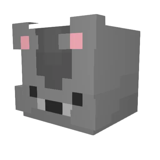 NanoCourse Minecraft avatar head, 3D render
