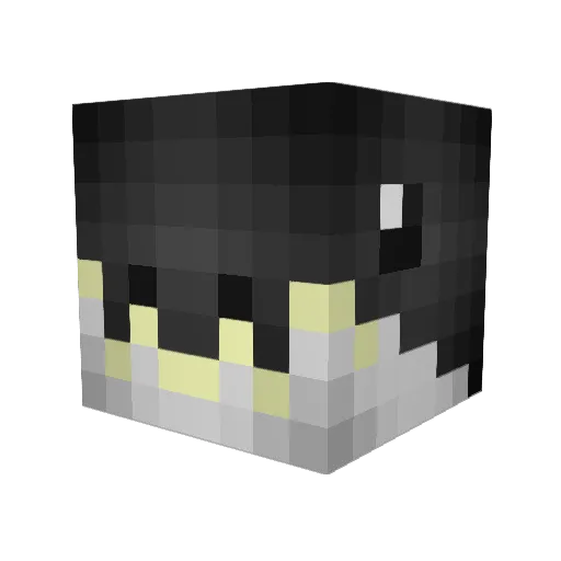 NanoSharkz Minecraft avatar head, 3D render