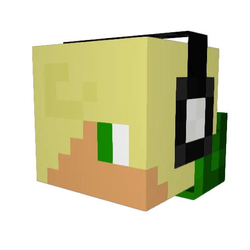 NanoXID Minecraft avatar head, 3D render