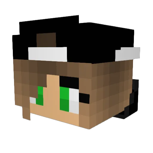 Nano_Pirat Minecraft avatar head, 3D render